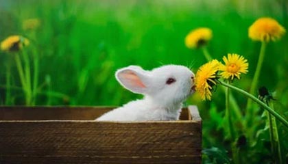 九游app官网下载-中国网球未来之星选拔计划正式启动，未来网球发展前景