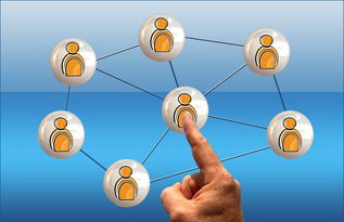 九游体育登录入口-德国队与国际乒联混合团体世界杯赛制的互动与挑战，德国队乒乓